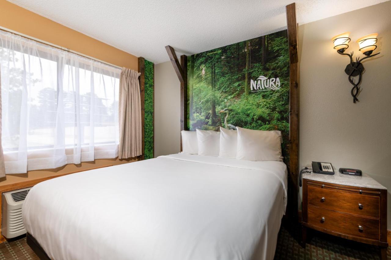 Natura Treescape Resort Wisconsin Dells Exteriér fotografie